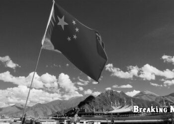 🌾 Китай скасував мита на американські сою та зерно