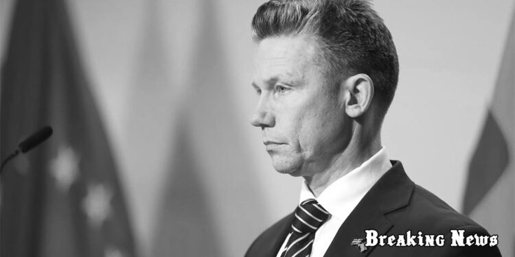 Швеція може розглянути відправку військ в Україну, якщо від союзників по НАТО надійде така пропозиція, - міністр оборони Йонсон