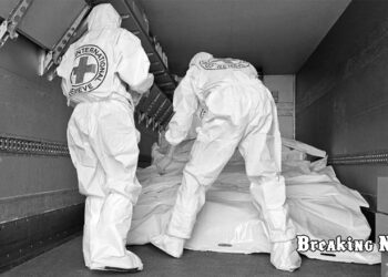 До України повернули тіла 254 загиблих захисників