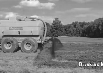 Поляки розливають гній уздовж білоруського кордону: навіщо вони це роблять і до чого тут священні книги