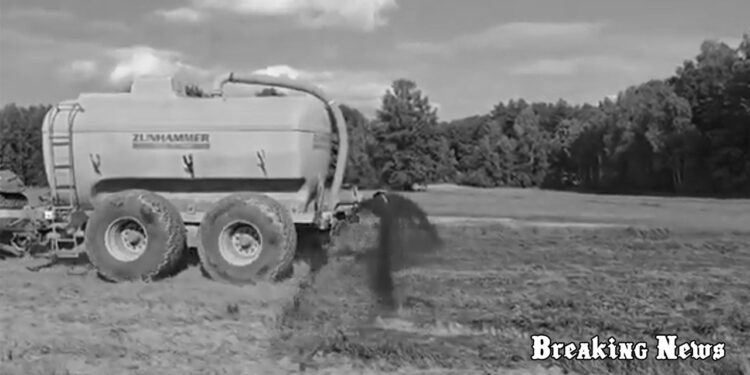 Поляки розливають гній уздовж білоруського кордону: навіщо вони це роблять і до чого тут священні книги