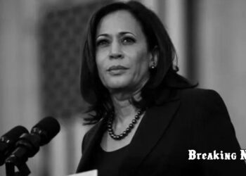 ⚡️ Камала Гарріс розкритикувала перші 100 днів президентства Трампа: “Америка відмовляється від своїх ідеалів”