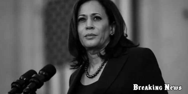 ⚡️ Камала Гарріс розкритикувала перші 100 днів президентства Трампа: “Америка відмовляється від своїх ідеалів”