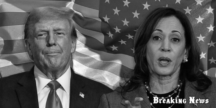 Трамп і Гарріс витратили рекордні $3,5 млрд на передвиборчу кампанію в США