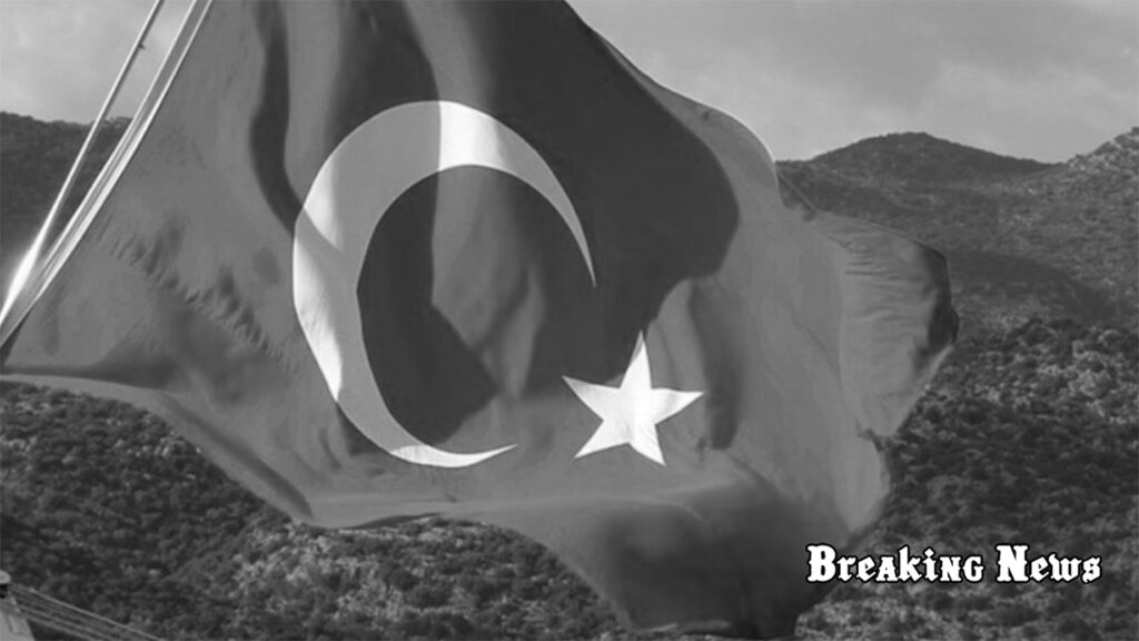 🇹🇷 Туреччина готова відправити миротворців в Україну лише після припинення вогню