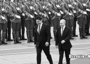 Відмова Монголії заарештувати Путіна створить прецедент: У Європарламенті звернулися до Борреля