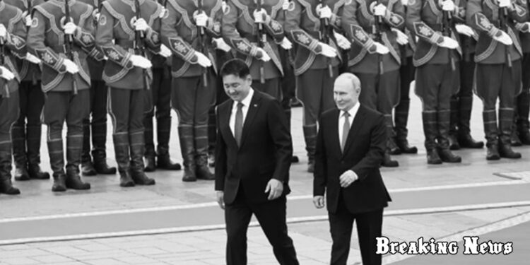 Відмова Монголії заарештувати Путіна створить прецедент: У Європарламенті звернулися до Борреля