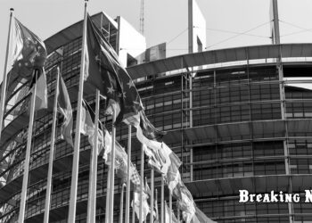 🛡️ Україну можуть включити до Європейського оборонного фонду до кінця 2025 року