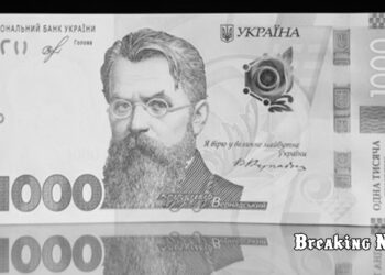 "Тисяча Зеленського" може бути інструментом для підрахунку населення та виявлення ухилянтів — нардепка Василевська-Смаглюк