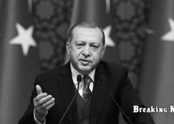 ⚡ Ердоган: Україна та Росія можуть досягти згоди за мирним планом Трампа