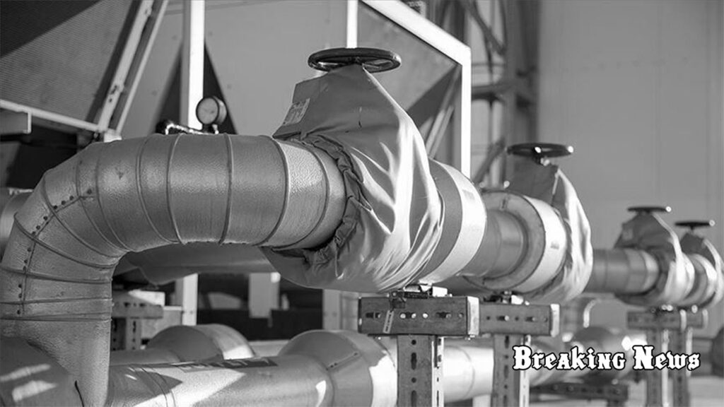 Словаччина почала імпортувати російський газ через «Турецький потік»