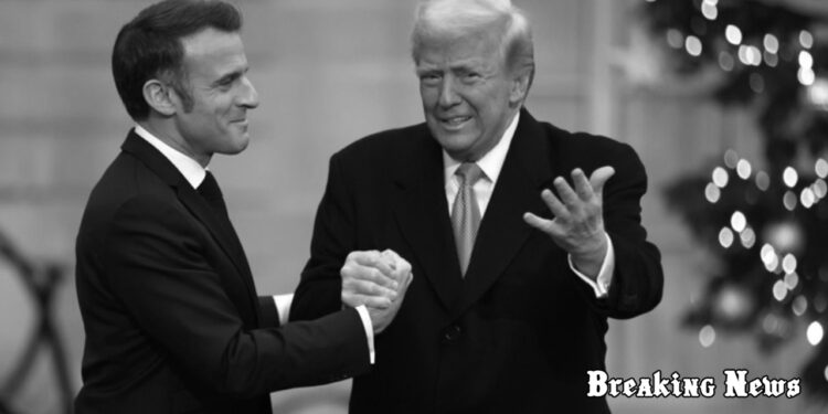 Трамп закликав Європу більше інвестувати в НАТО: деталі розмови з Макроном