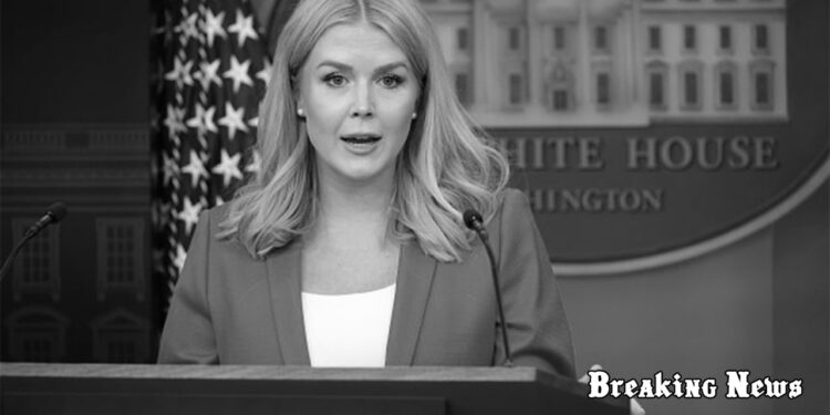 🇺🇸 Білий дім спростував чутки про звільнення членів адміністрації Трампа через листування в Signal