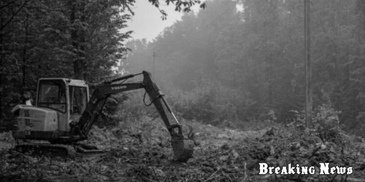 🪦 Україна готує розкопки на території Польщі — фінансування забезпечить Київ