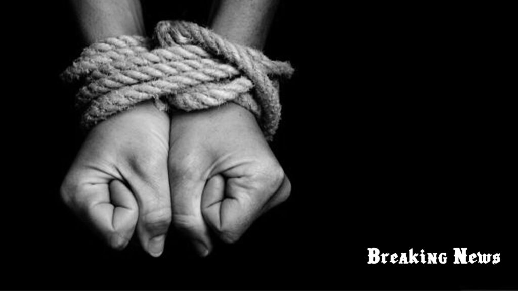 🚨 Рада Європи: агресія росії призвела до зростання торгівлі людьми в Україні