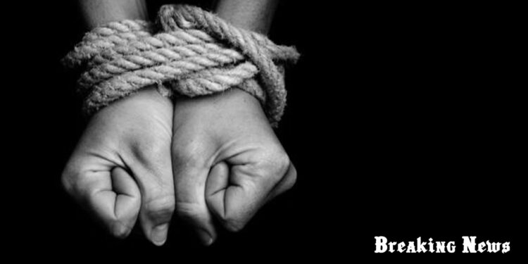 🚨 Рада Європи: агресія росії призвела до зростання торгівлі людьми в Україні