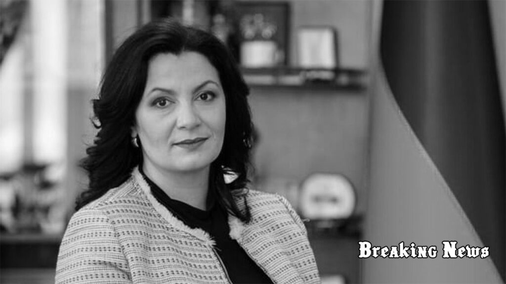 🇪🇺 Обурюють постійні заяви президента України: Климпуш-Цинцадзе про вступ країни до ЄС