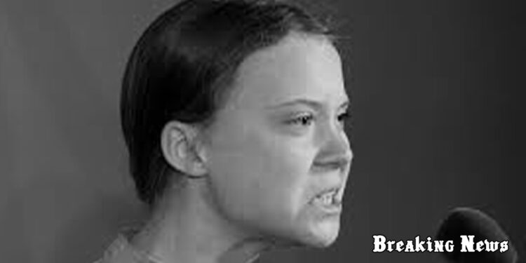 🚤 У Середземному морі дрон атакував судно Грети Тунберг, яка прямувала до Гази