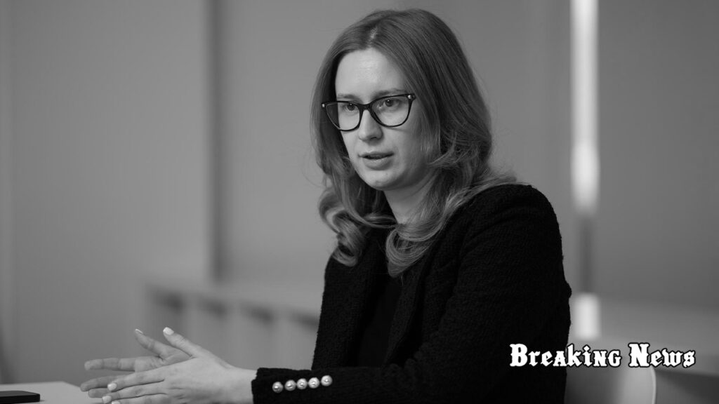 💰 Україна планує витратити $120 млрд на оборону у 2026 році, - Підласа