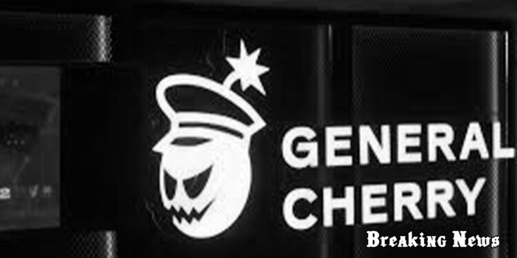 🚀 В Україні запустили серійне виробництво нового дрона-перехоплювача "Генерал Черешня Bullet"