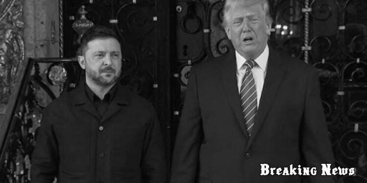 📰 Посмішки Трампа та Зеленського після зустрічі у США були «фальшивими» – Bild