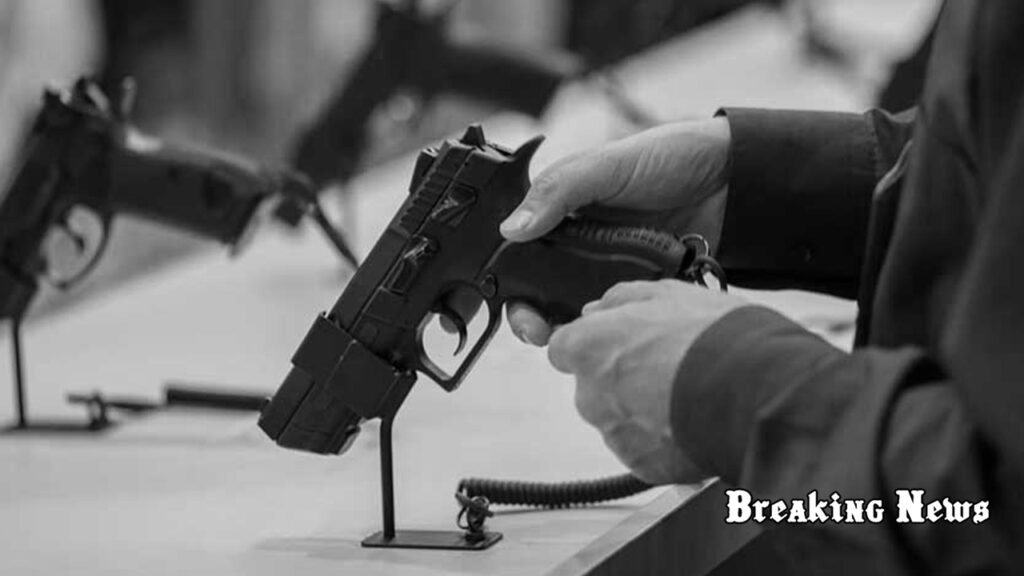 🔫 В Україні готують консультації щодо закону про цивільну зброю — Костенко