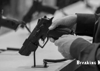 🔫 В Україні готують консультації щодо закону про цивільну зброю — Костенко