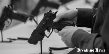 🔫 В Україні готують консультації щодо закону про цивільну зброю — Костенко